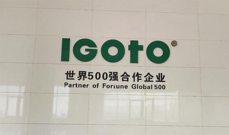 Working with some Fortune Global 500 Enterprises